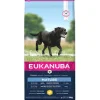 Eukanuba Mature L/XL Kylling 15 kg
