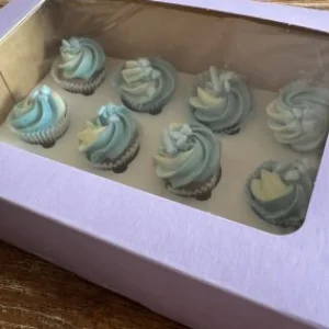 Mini Cupcakes eske, plass til 12, med innlegg 10pk