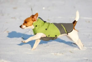 Outdoor Dog Coat Vancouver 35 cm/S